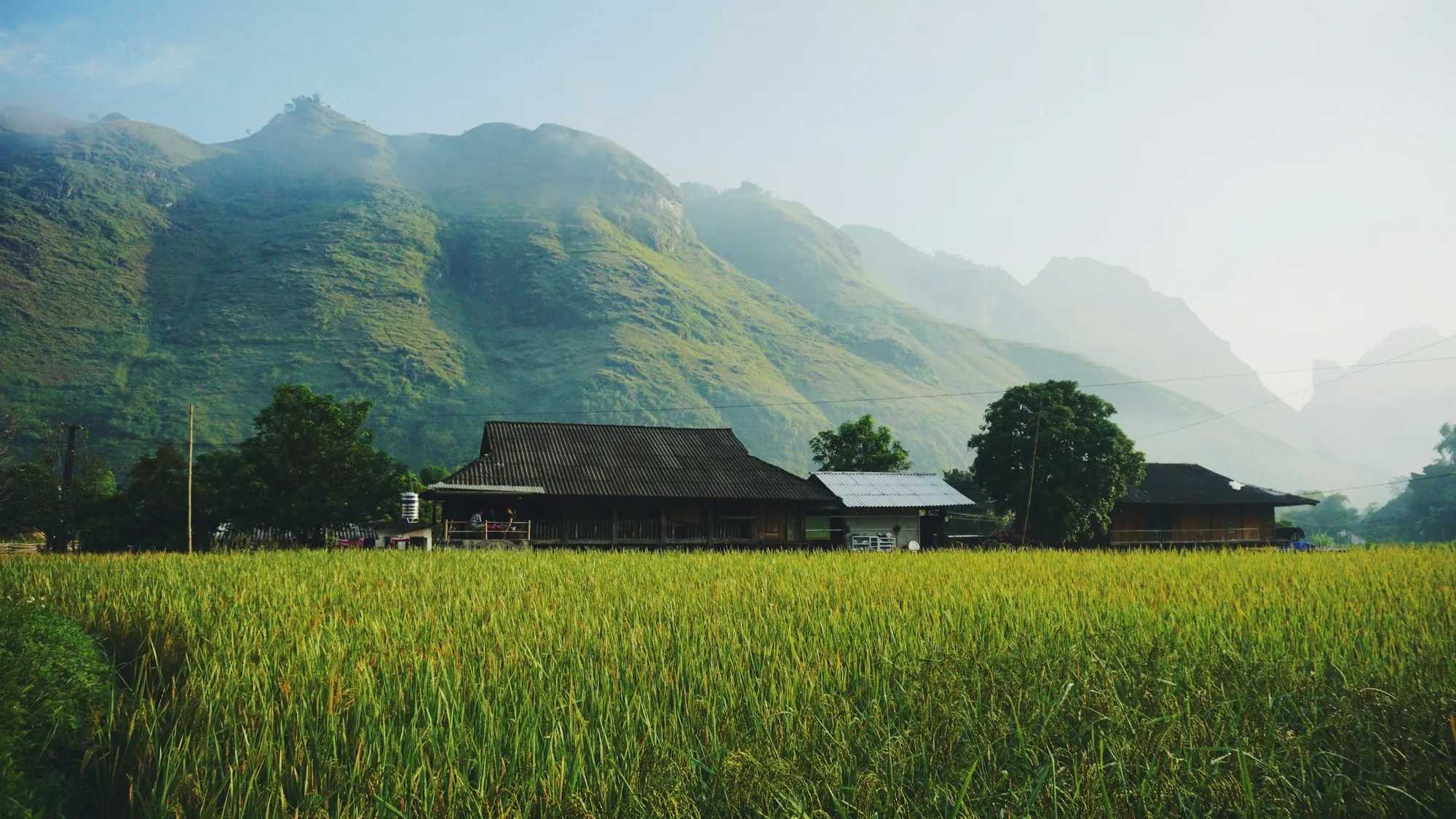 A small house among rice fields at the foot of the mountains in Du Gia