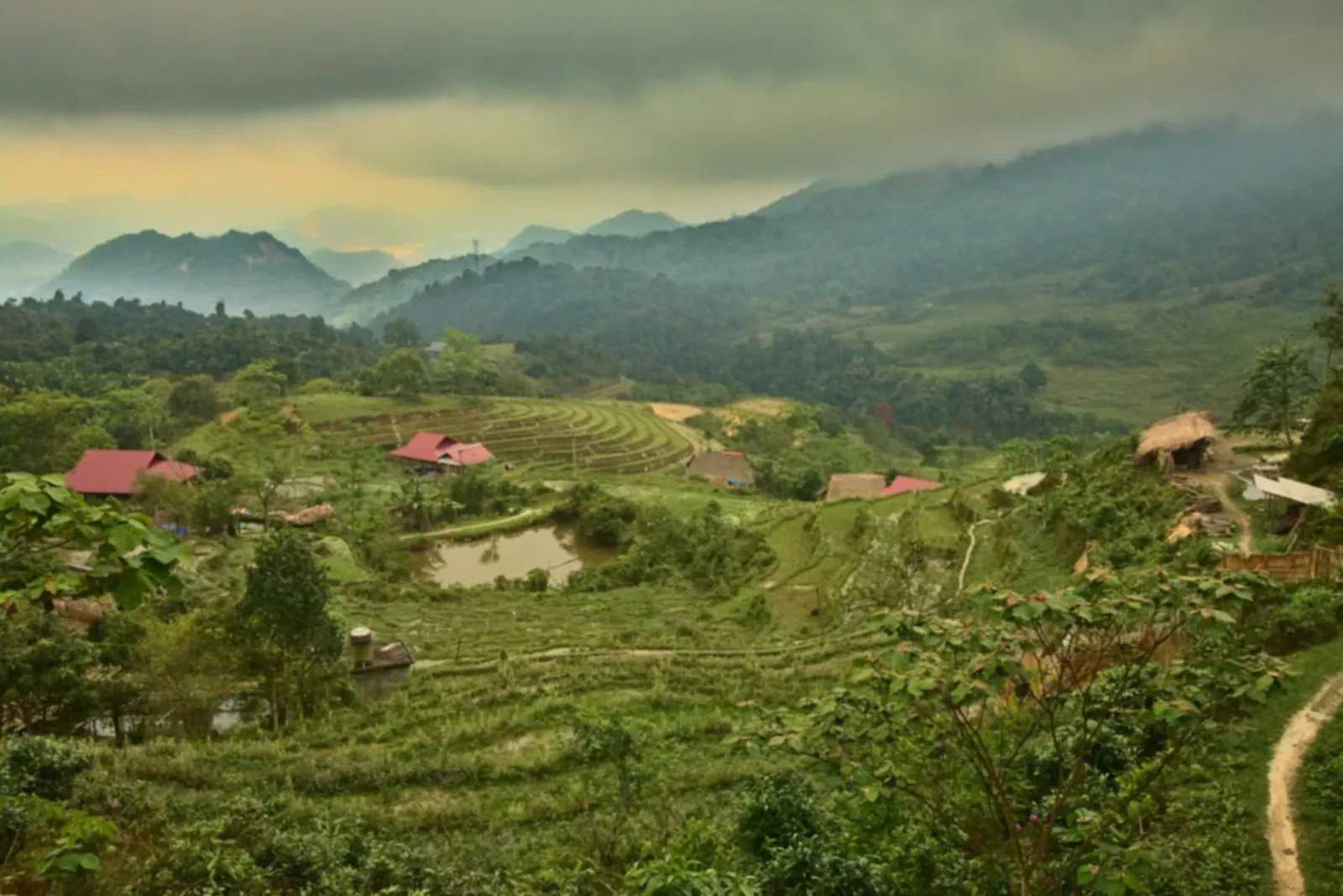 Rice terraces in the hills near Ha Giang town